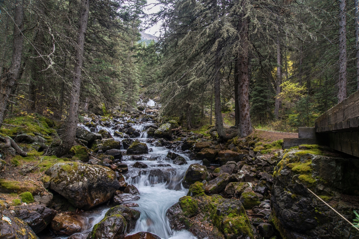 Vancouver Company At Centre of GoldMining Controversy on Edge of